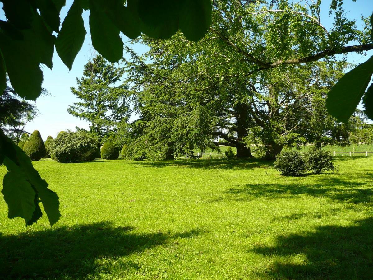 Domaine De Marsaguettes Villa Morlhon-le-Haut Eksteriør bilde